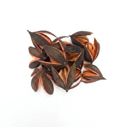 559 lily 4-7cm pomaranč 12ks
