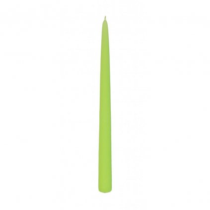 AKCIA!ŠPIC 29 LAK.MATNÝ PASTEL ZELENÝ