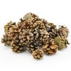 S006PACZ PINUS NIGER EXTRA 500g 5-8cm