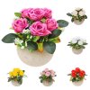 RUŽE V ČREPNÍKU MIX/6F 15CM