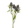 ZELEŇ ERYNGIUM-BODLIAK  FIALOVÝ 27CM