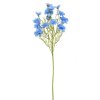 KS DELPHINIUM MODRÉ 75CM