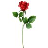 KS RUŽA ČERV. 45cm