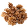 CEDAR ROSE PACZ 200G