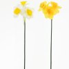 KS NARCIS MIX 2 FAR. 40cm