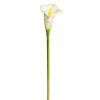 KS CALLA BIELA 65cm