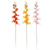 KS GLADIOLA x10 MIX/3F 81CM