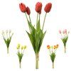 ZVAZOK TULIPÁN MIX/5F 41CM
