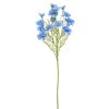 KS DELPHINIUM MODRÉ 75CM