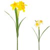 KS NARCIS 40CM MIX 2F