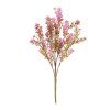 ZELEŇ SEDUM RUŽOVÉ 35CM