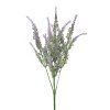 ZELEŇ LEVANDUĽA FIALOVÁ 30CM