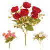 KYTICA RANUNKULUS x7 30CM MIX 3F