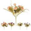 KYTICA RANUNKULUS x5 30CM MIX 5F