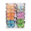MOTÝLE FAREBNÉ NA KLIPE 8CM S/12