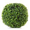 GUĽA BUXUS PRIEM.30CM