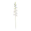 KS GLADIOLA BIELA 75CM