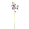 KS ORCHIDEA PHALAENOPSIS BIELO-FIALOVÁ 60CM