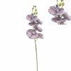 KS ORCHIDEA PHALAENOPSIS TMAVO-FIALOVÁ 72CM