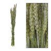 AKCIA! Triticum nature zv.SILVER 70x10x5cm