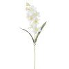 KS ORCHIDEA BIELA 64cm