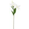 KS ĽALIA BIELA 80CM