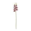 KS ORCHIDEA x7 73CM BORDOVO-BIELA