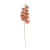 KS ORCHIDEA PHALAENOPSIS HNEDO-ČERVENÁ 100CM
