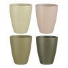 Obal ORCH. Tusca MIX FARBA v17/pr.13,5cm