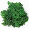 Mach prepar. MOSS GREEN/ 250 g