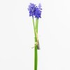 AKCIA! KS ZVÄZOK MUSCARI MODRÉ 32CM