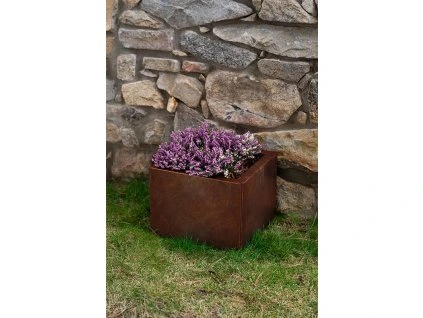 54 3 web sm u dsc01880 kopie