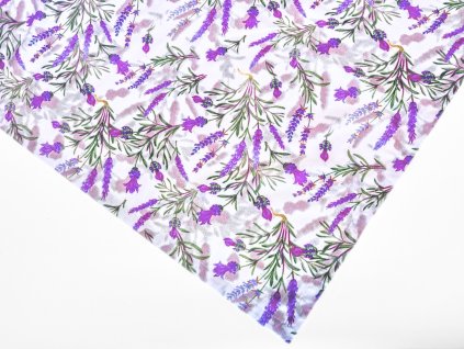 42aeb6d7 89db 485d baf4 4d5d62fb361a