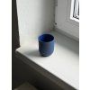 blueberry cup
