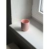 candy cup
