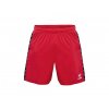 Hummel AUTHENTIC PL SHORTS MEN  Pánské sportovní trenky Hummel