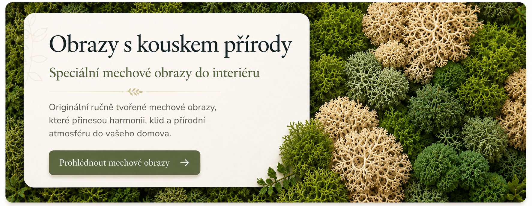 Mechové obrazy do interiéru – Handi Made