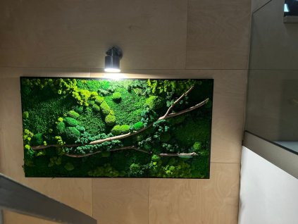 ebbed030 3f6f 426b 9712 d4c1128a5618(1)