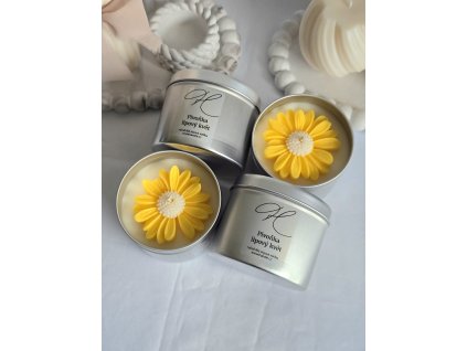 Sójová svíčka - Pivoňka a lipový květ