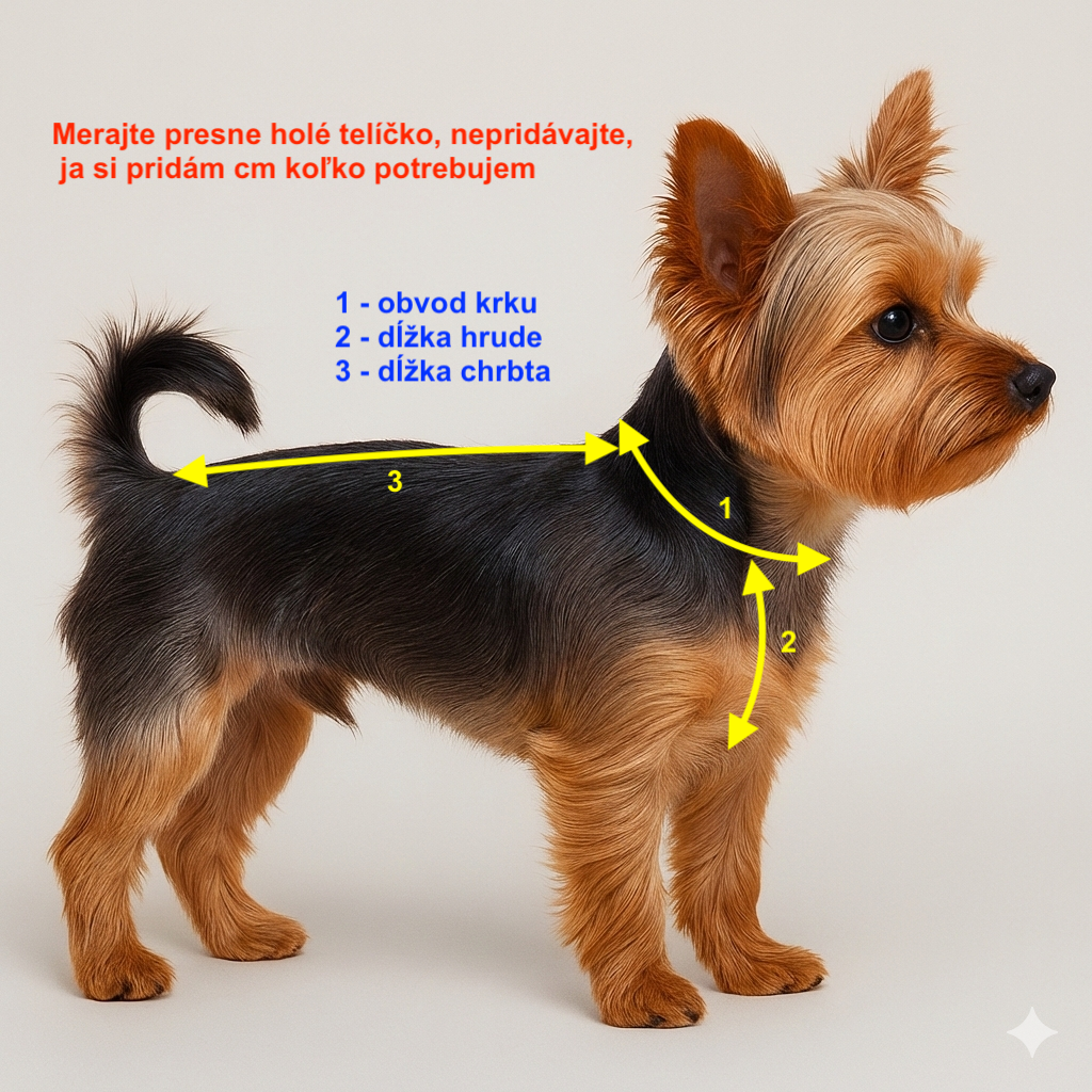 Pončo-meranie