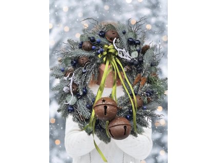 Zamrznutá elegancia 3