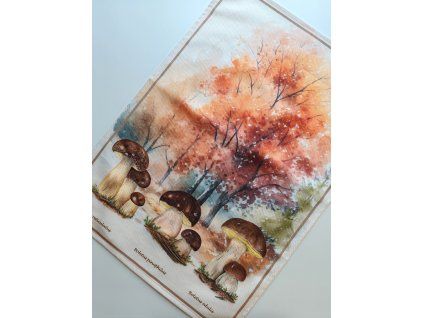 Utierky Hríby v lese