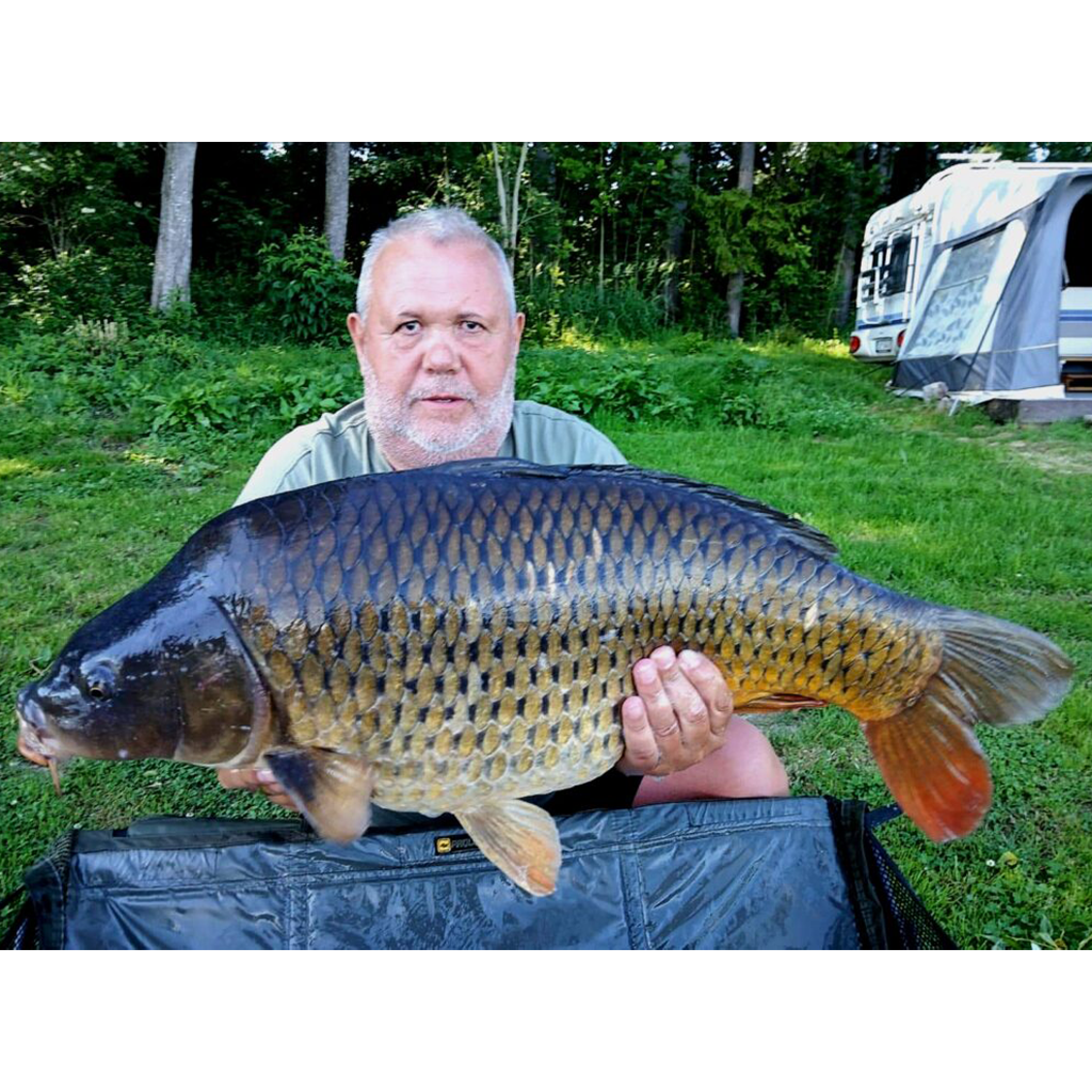 Lipno ve znamení velkých ryb