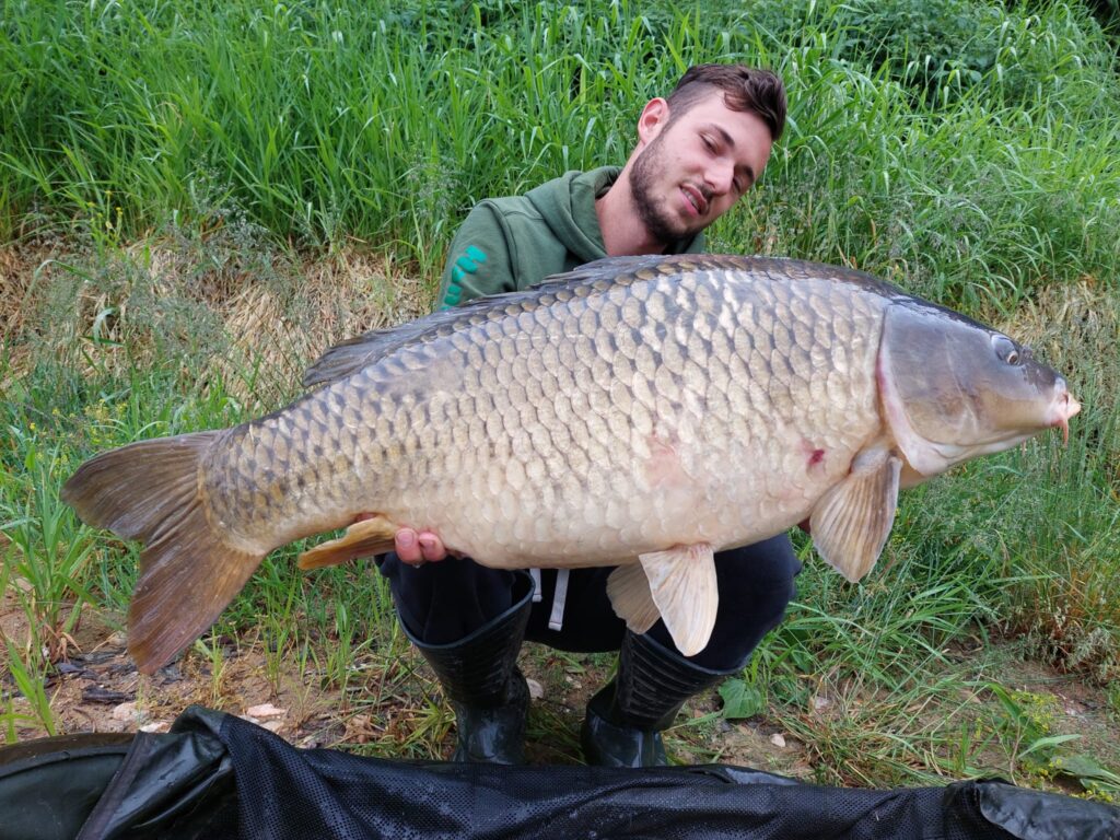 IMG-20230607-WA0001-1024x768