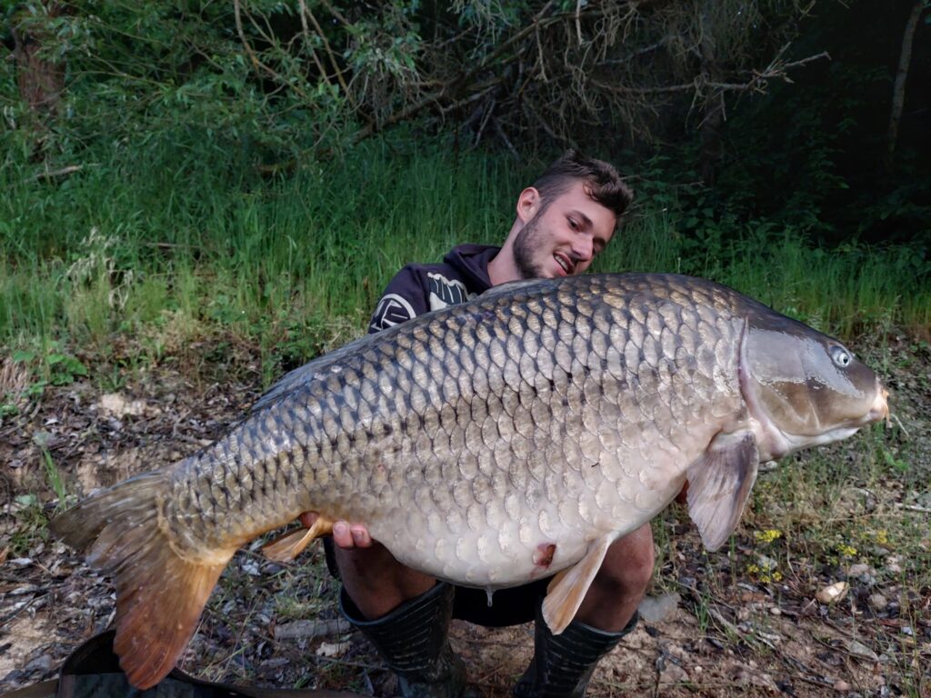 IMG-20230609-WA0000-1024x768