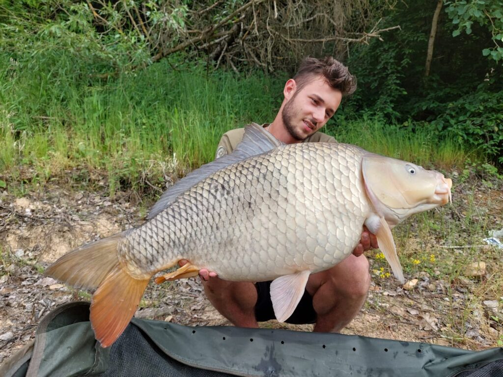 IMG-20230609-WA0003-1024x768