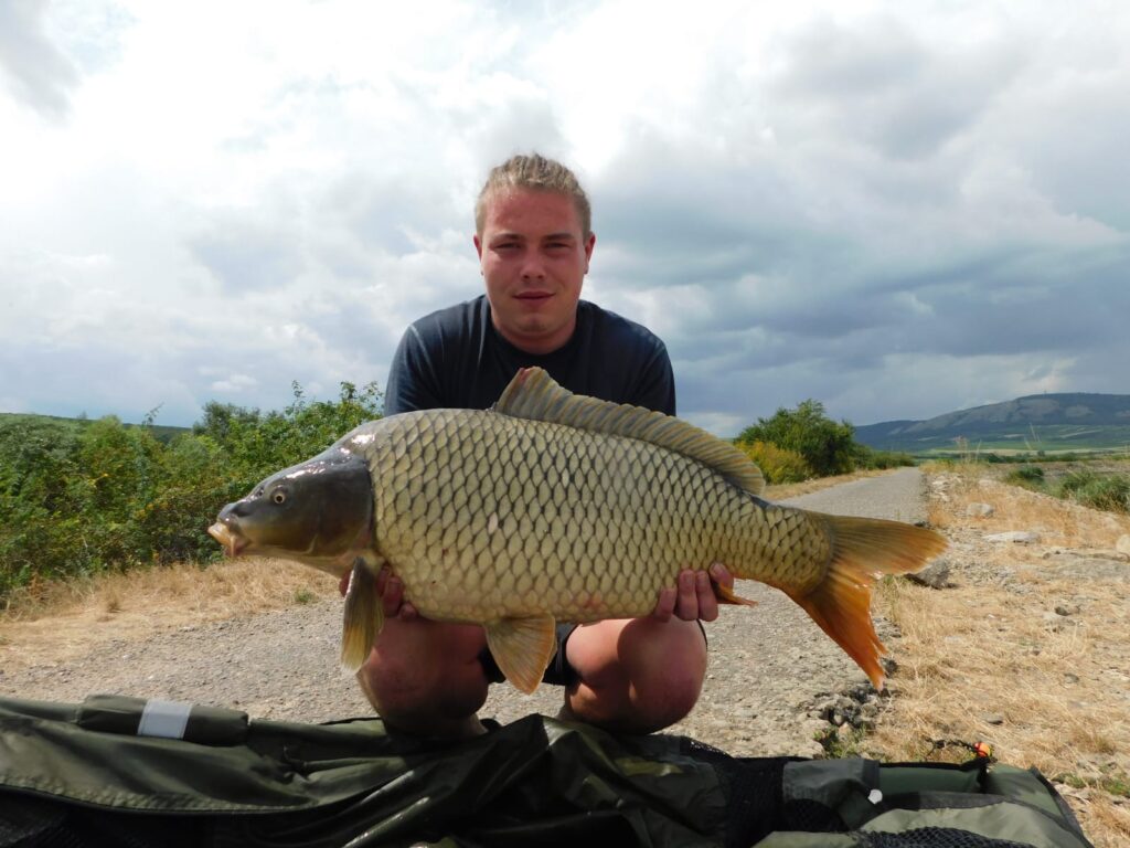 IMG-20240803-WA0005-1024x768