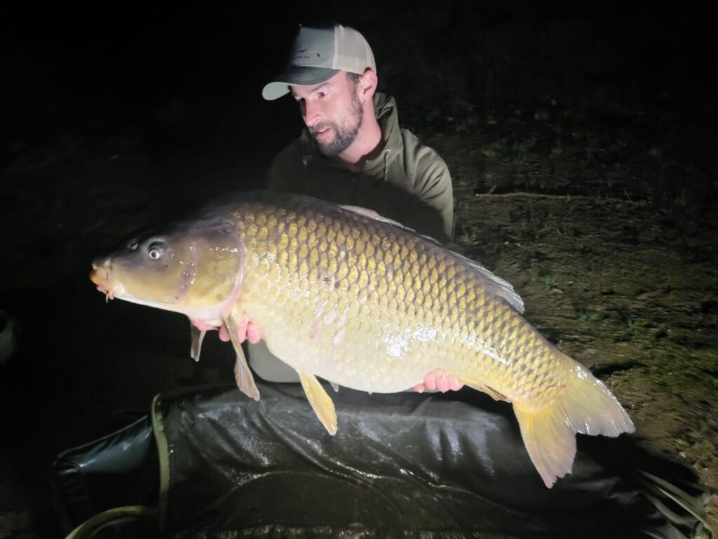 IMG-20241014-WA0000-1024x768