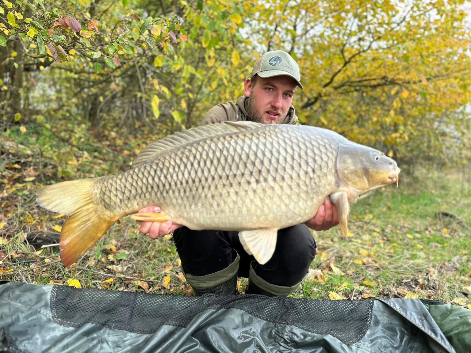 IMG-20241024-WA0002-1536x1152