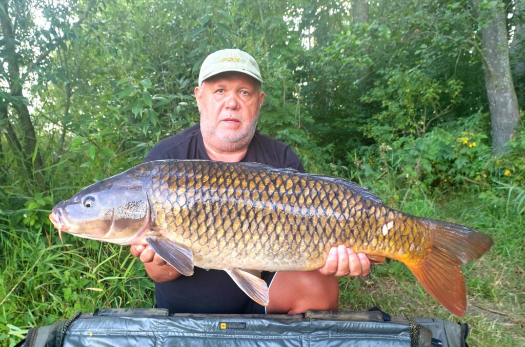 IMG_20240729_193656_edit_68846488858266-1024x678